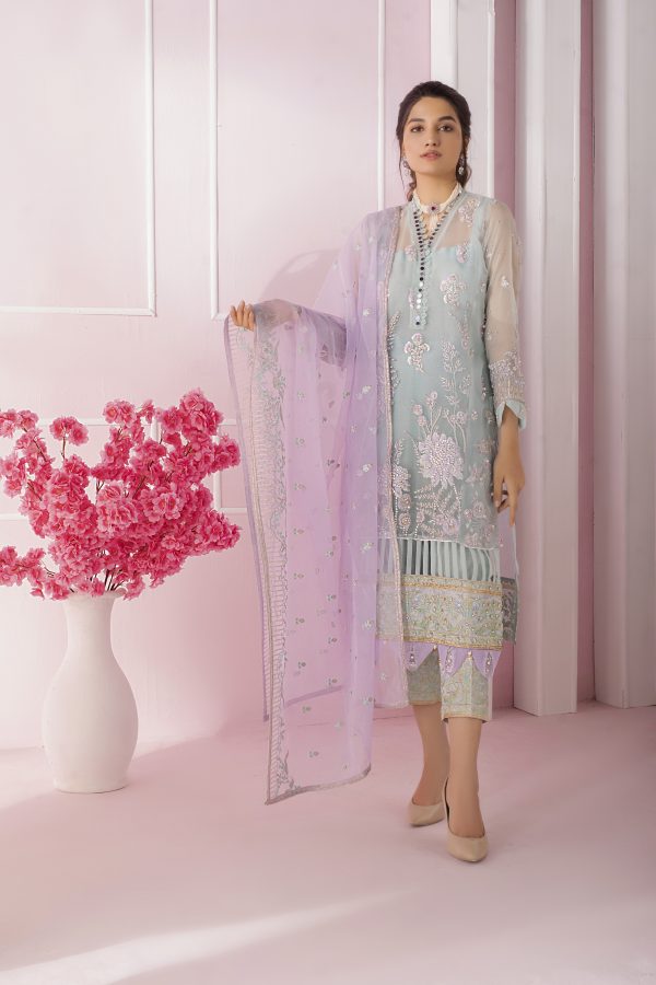 : Kanwal Organza and Silk Dress