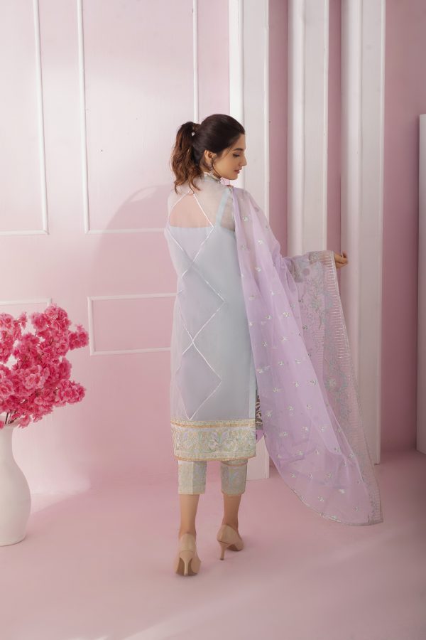 : Kanwal Organza and Silk Dress