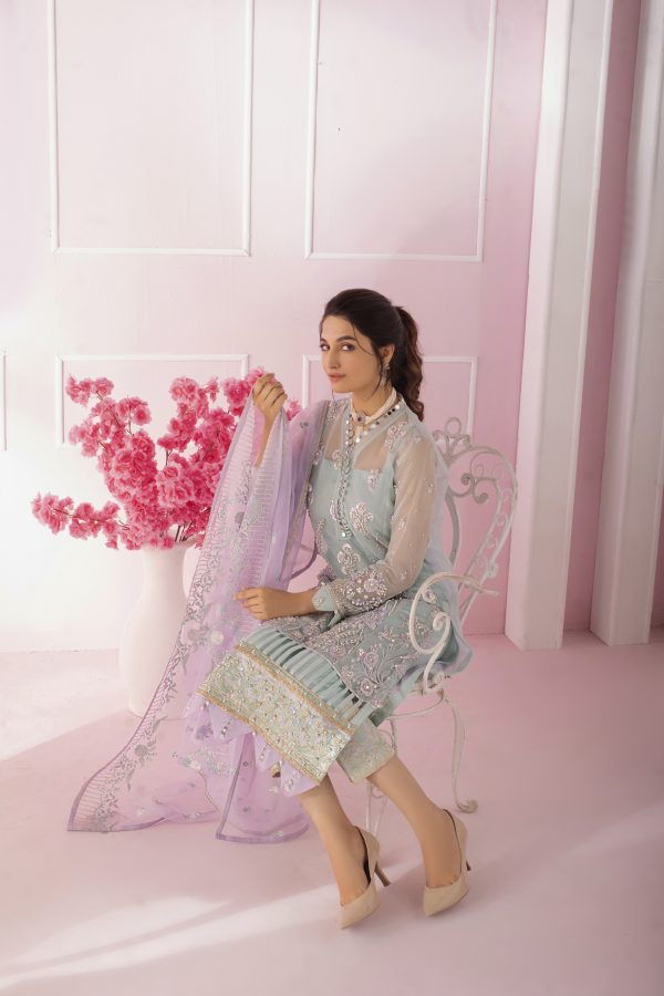 : Kanwal Organza and Silk Dress