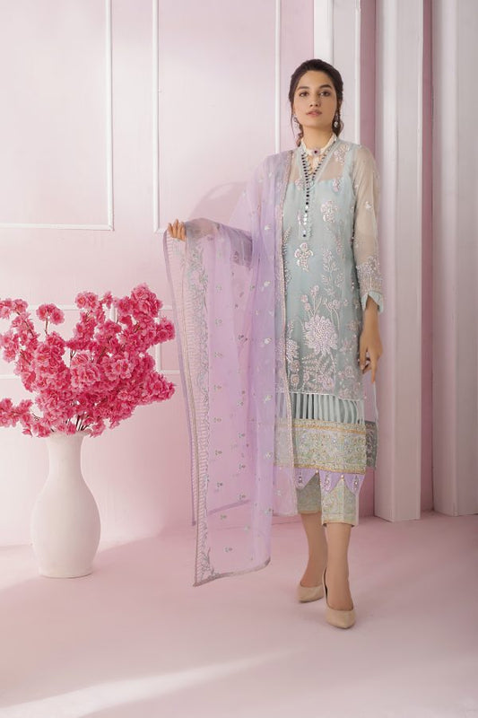 : Kanwal Organza and Silk Dress